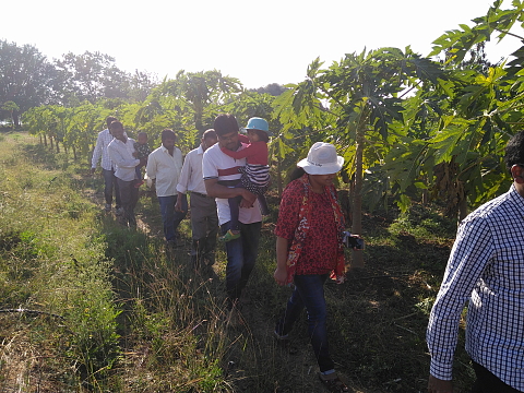 A long walk in the organic farm A long walk in the organic farm