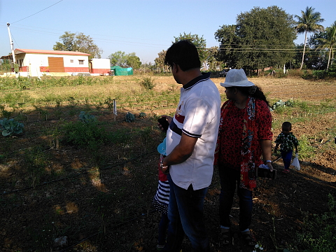 Mulling over the organic veggies Mulling over the organic veggies