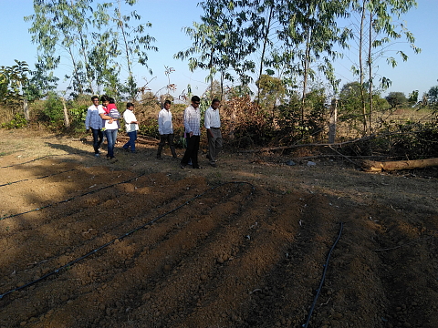 Just planted Just planted