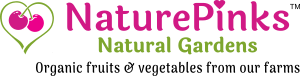 NaturePink, Nature Pink, NaturePink's, Nature's Pink, NaturesPink, NaturesPinks NaturePink, Nature Pink, NaturePink's, Nature's Pink, NaturesPink, NaturesPinks