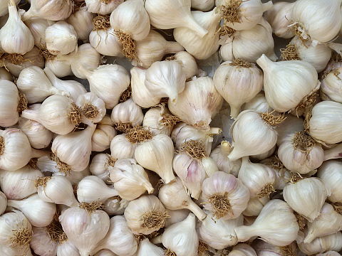 NaturePinks Organic Garlic - ready to pack NaturePinks Organic Garlic - ready to pack