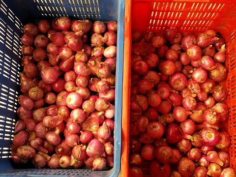 NaturePinks Organic Onion - ready to pack NaturePinks Organic Onion - ready to pack